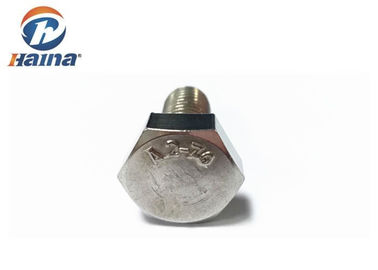 M8 M6 304 316 de aço inoxidável encantam os parafusos principais e as porcas